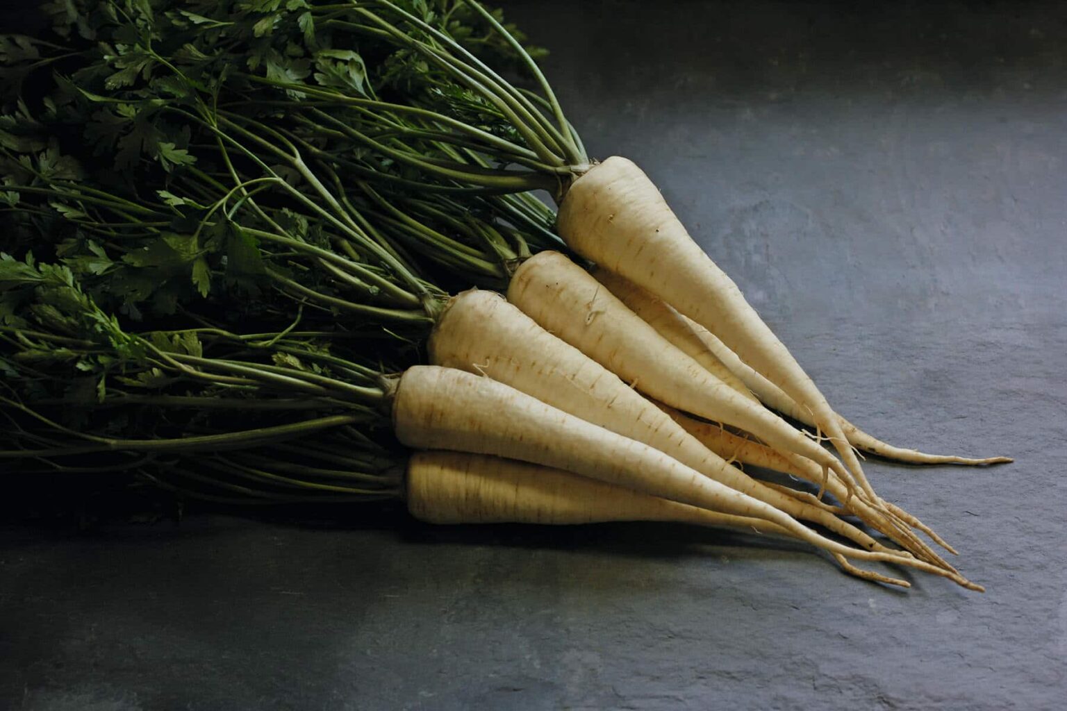 Arat (Root) (Pelleted) Seedway