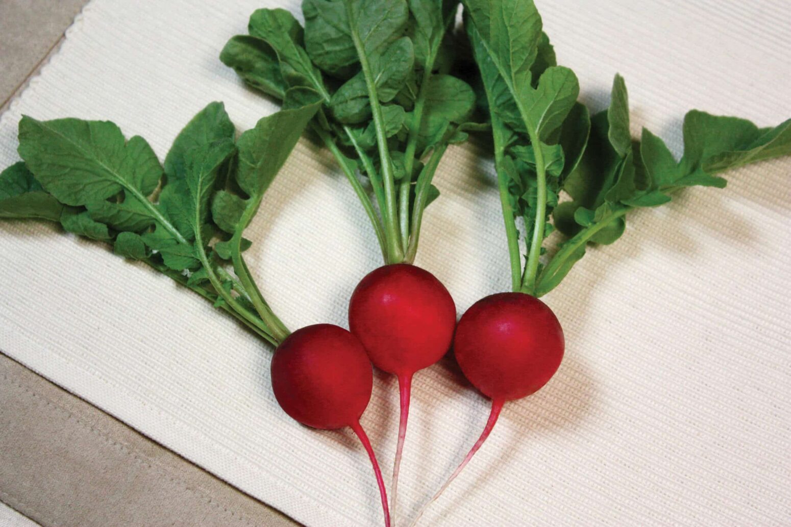 Cherry Belle Radish (Not Treated) Seedway