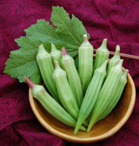 Clemson Spineless Okra (Treated Seed) Seedway