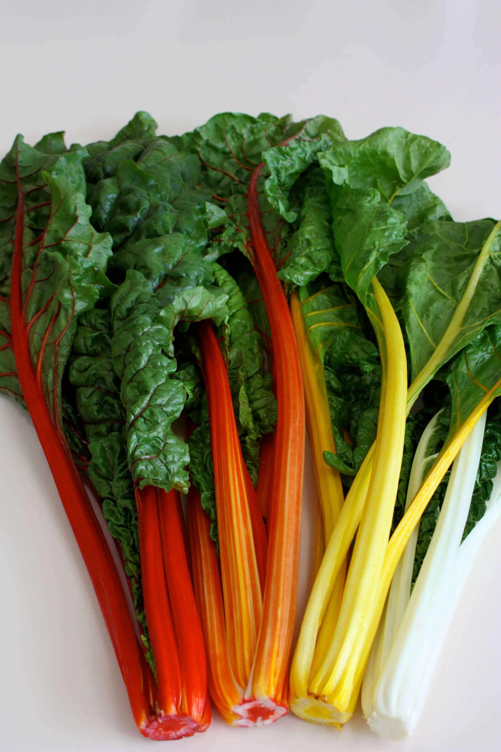 Chard Color Celebration Swiss Chard (Not Treated) | Seedway