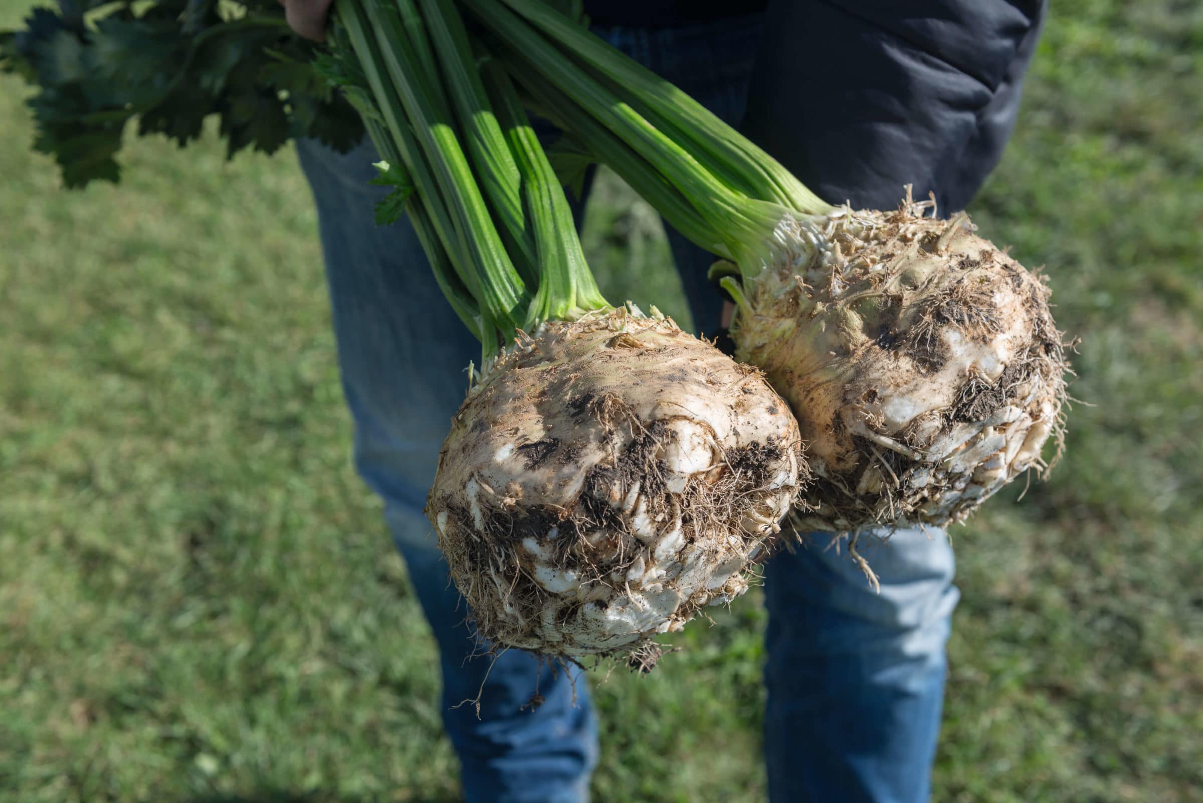 Rowena (Pelletted) Seedway